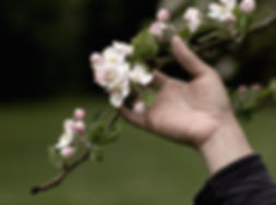 Master cidermaker Barrie Gibson