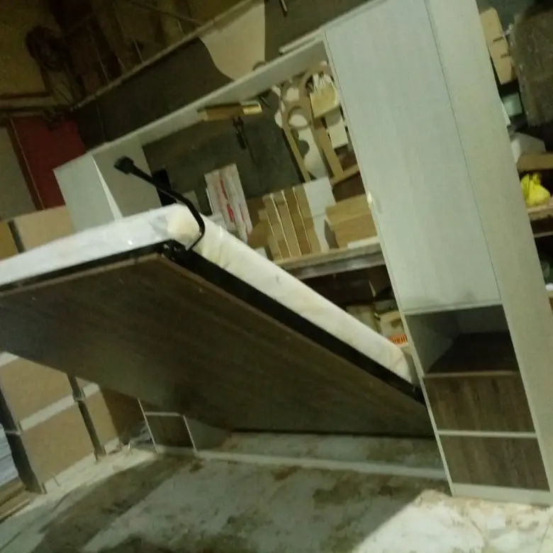 CASA-ELAN Murphy bed installation showing wall bed mechanism and custom cabinetry