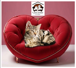 casapaws-cat-dog-pet-sofa-chair-bed-house-dubai-custom-design