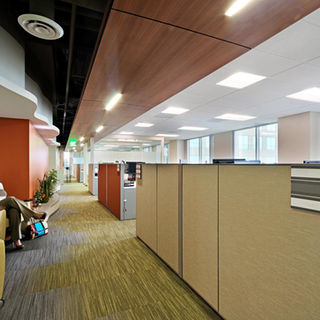 Open office workspace with low-height workstations and contemporary finishes.