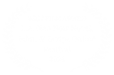 BEST FILM AWARD - L.A. Neo Noir Novel Film  Script Online Festival - 2024.png