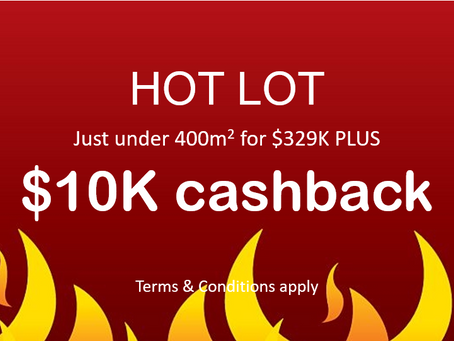 HOT LOT SPECIAL