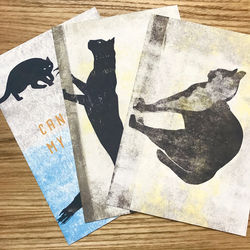Cats postcard set