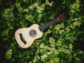 ” Ukulele lesson” — ウクレレレッスン! 2026.7.31