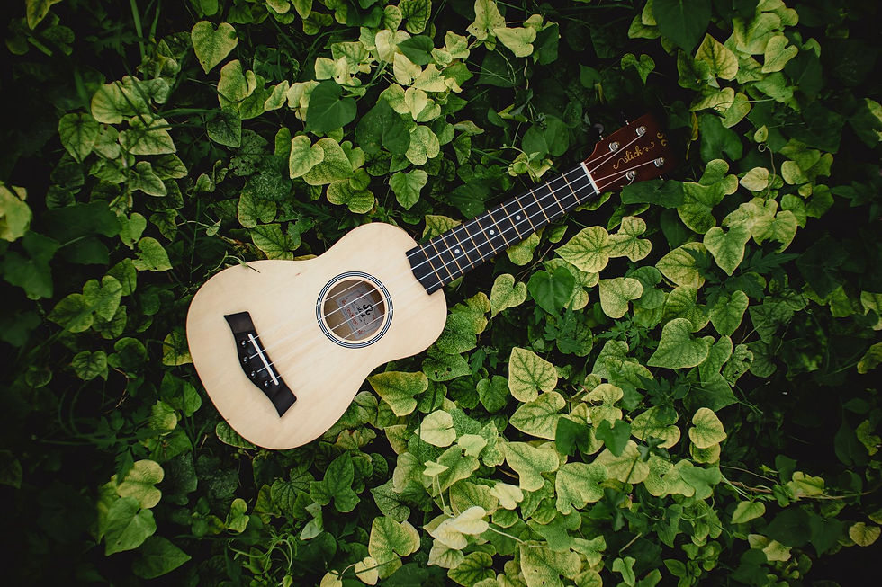 ” Ukulele lesson” — ウクレレレッスン! 2026.7.31