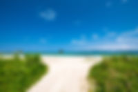 DSCF2233.jpg