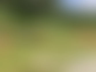 ゆくるん家の草刈り(後編)