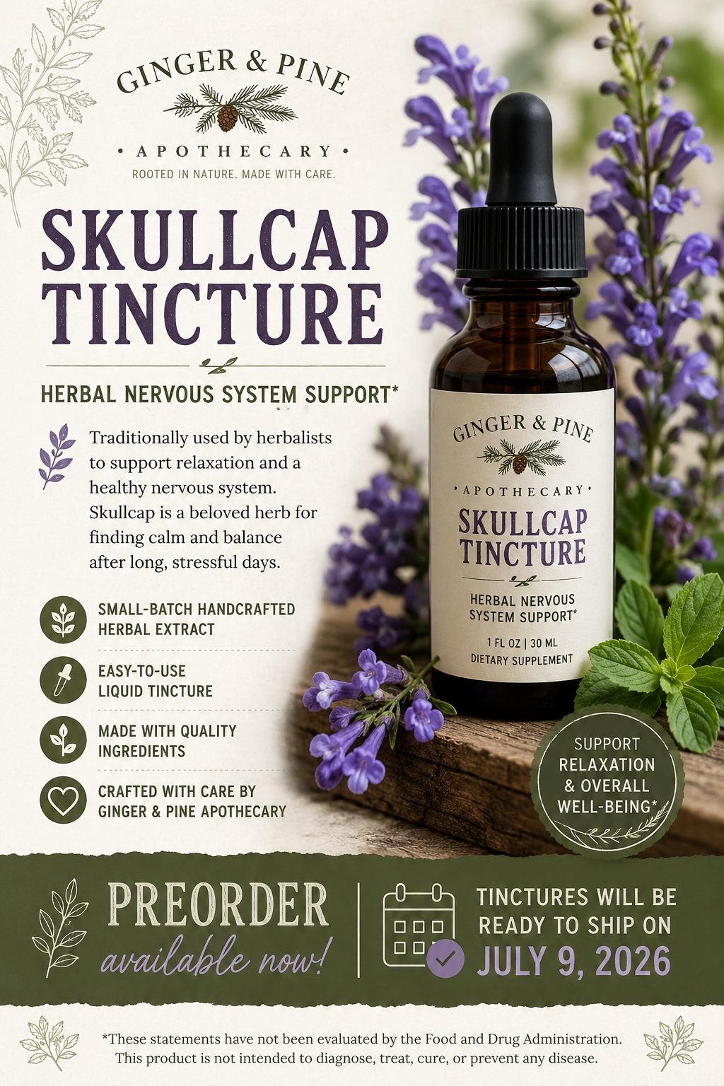 Skullcap Tincture | Herbal Nervous System Support | Handmade Botanical Extract