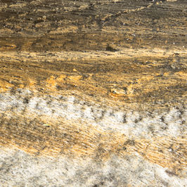 Natureza | Meio-Ambiente