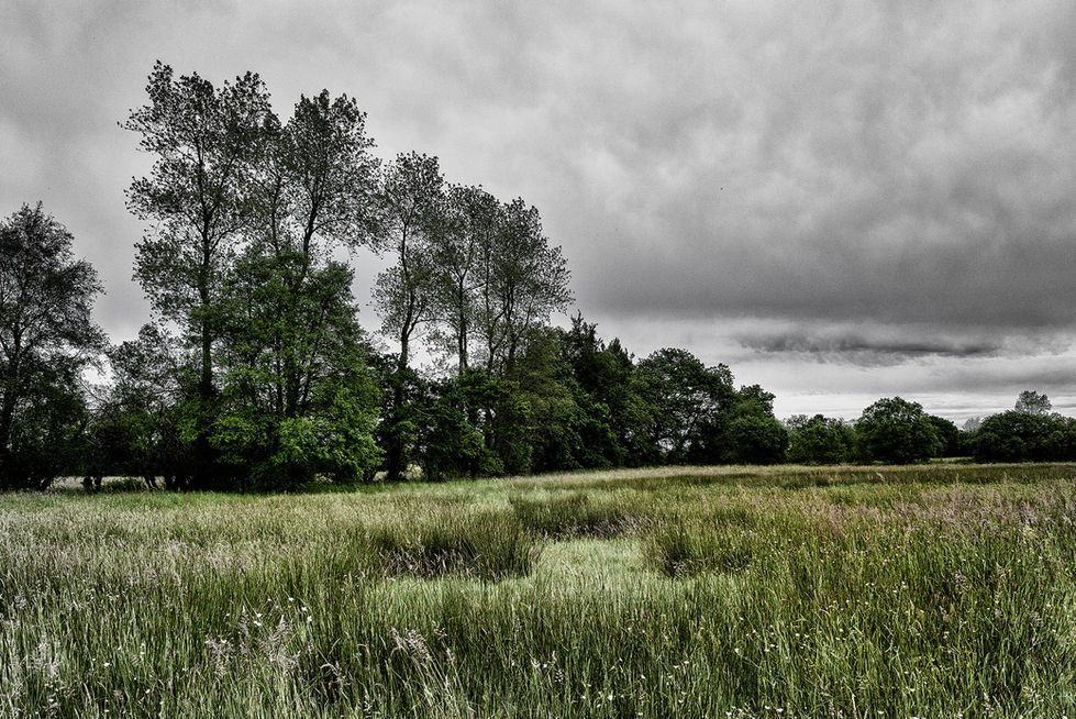 celine vedrenne marche pour l'eau wix (5)