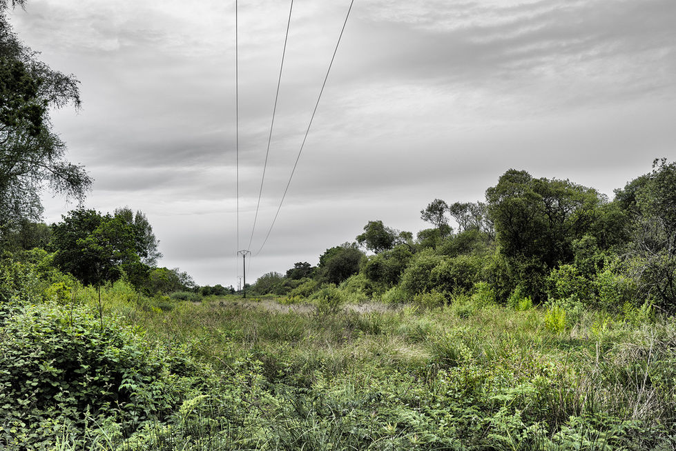 celine vedrenne marche pour l'eau wix (4)
