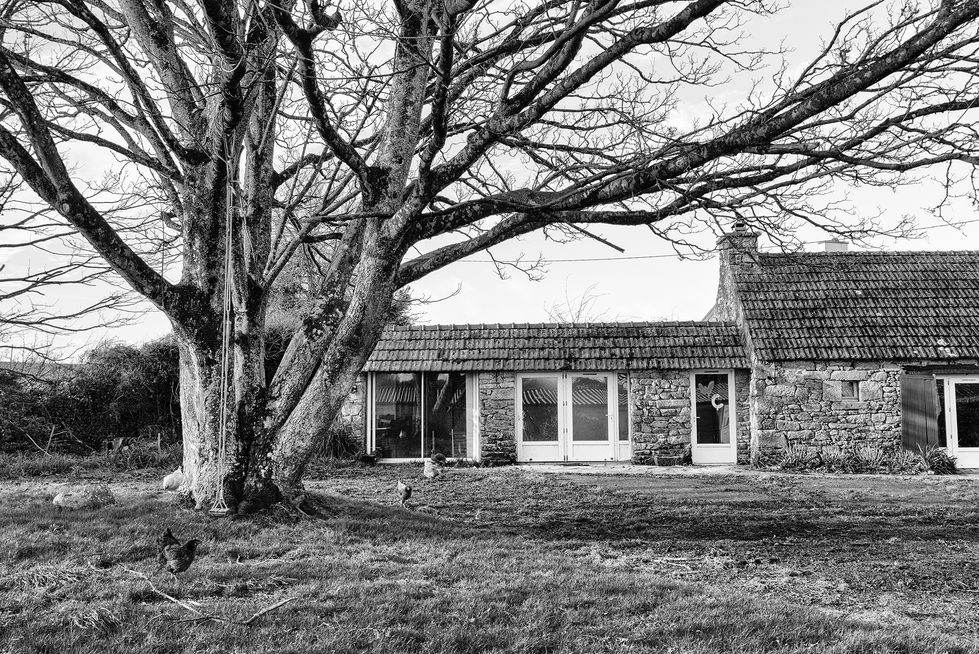 cv_vivre ensemble (8)