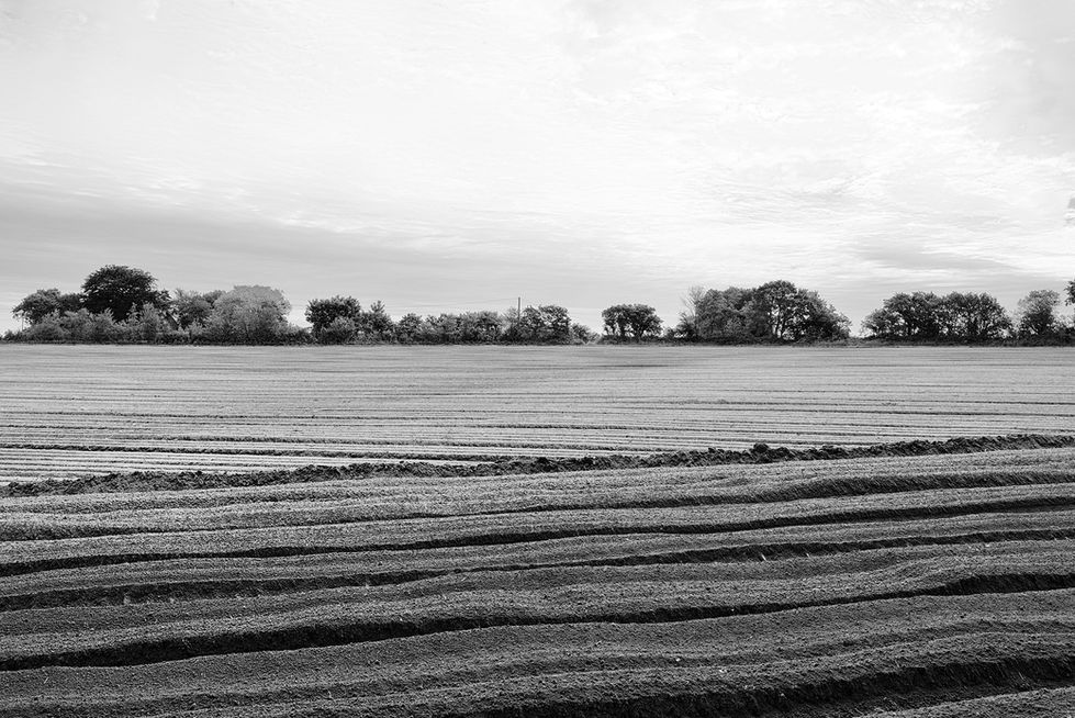 celine vedrenne marche pour l'eau wix (3)
