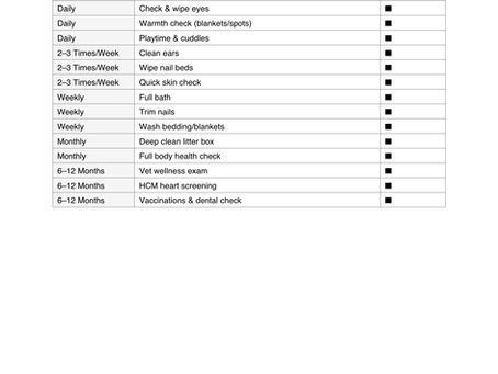 Caring for your Sphynx cats and kittens