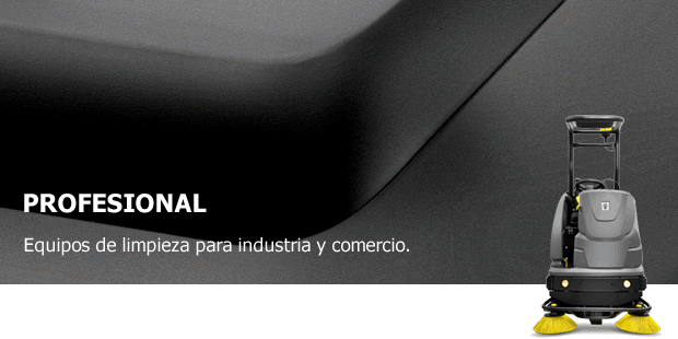 Barredora_profesional_karcher.gif