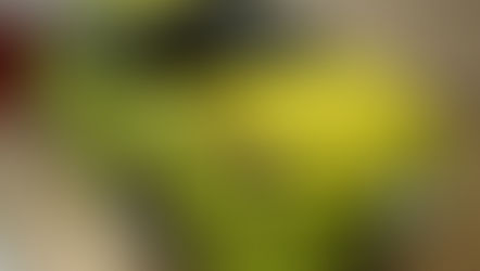 №1114・トヨタ プリウス・AS-007