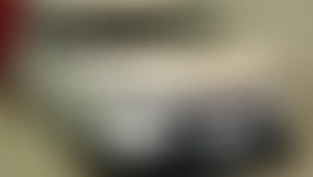 №2255・ホンダ シビックタイプＲ・AS-008スリーレイヤーセラミックコート