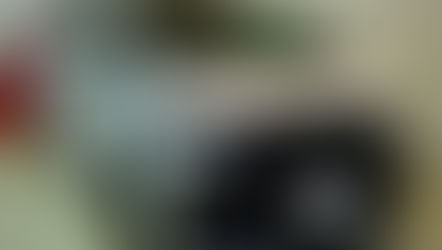 №1348・トヨタ ヴェルファイア・AS-008スリーレーヤーセラミックコート