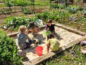 Community-garden-sandbox.jpeg