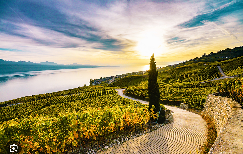 Miniature : Coffret Séminaire  - LAVAUX 2024