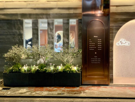 ブランドの世界観を深める植栽演出について🌿