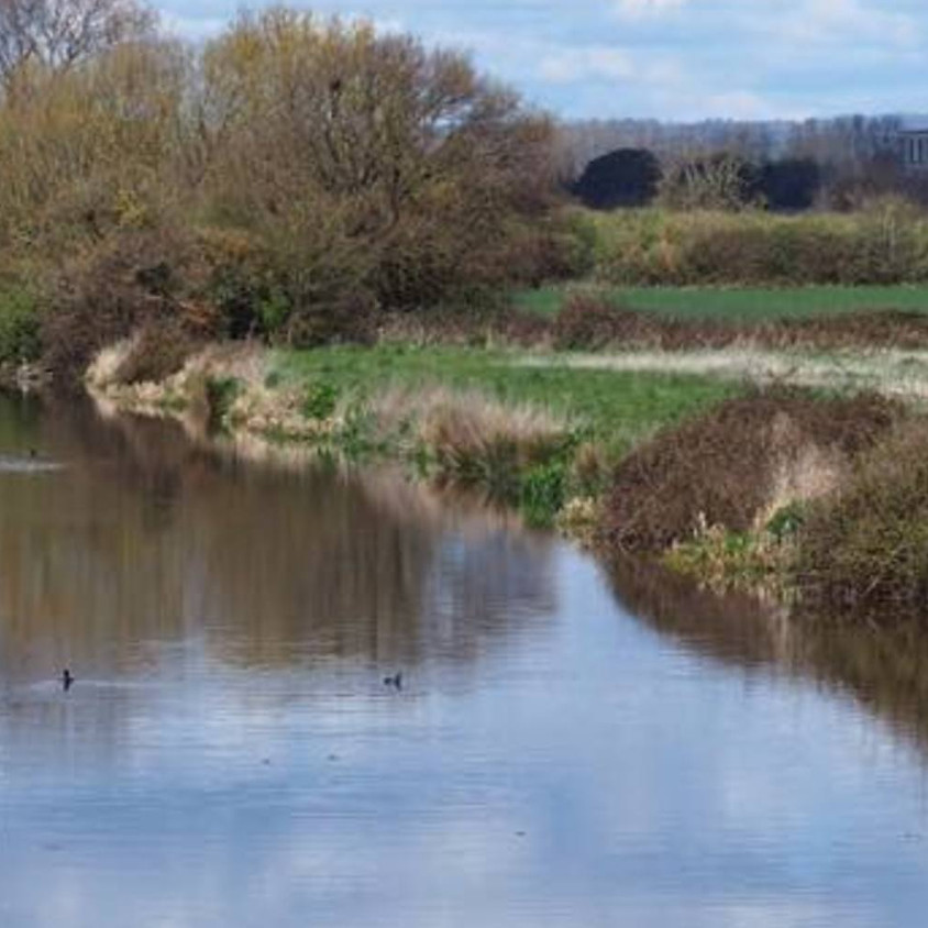 Canal, Country & Coast, The BIGGIE!
