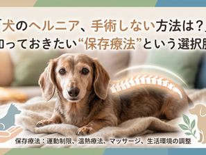 「犬のヘルニア、手術しない方法は?」知っておきたい“保存療法”という選択肢