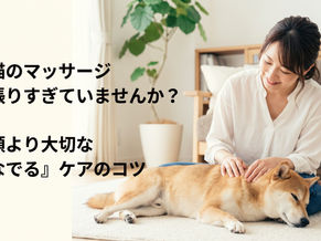 犬のマッサージは難しい?と感じる方へ。愛犬と飼い主がリラックスして触れ合う「なでリリース」の様子