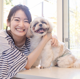 メディセル 犬 猫 筋膜リリース 嚥下