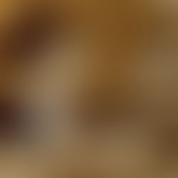 Vegetariano precisa comer soja?