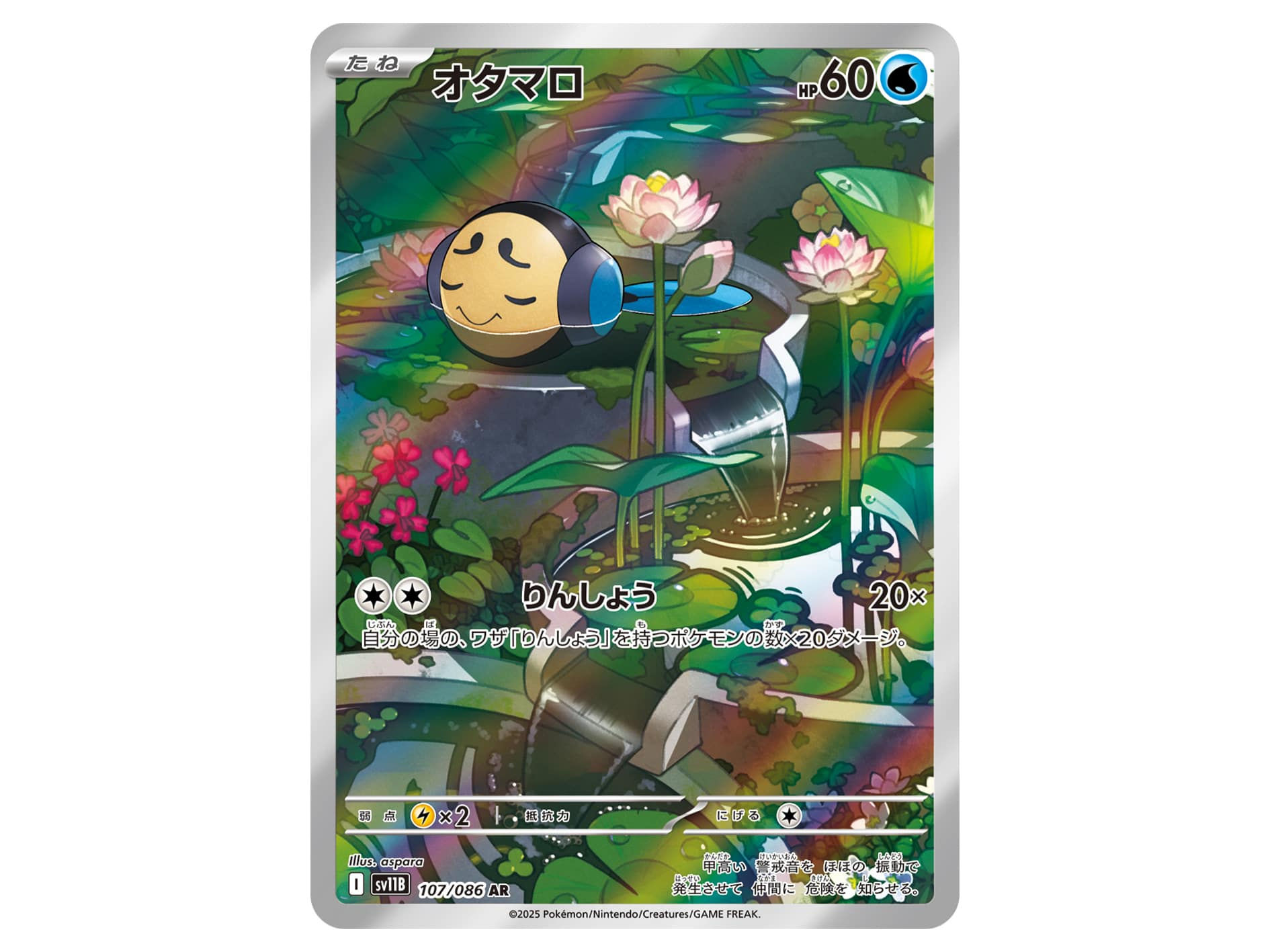 Tympole AR 107/086 (State A)