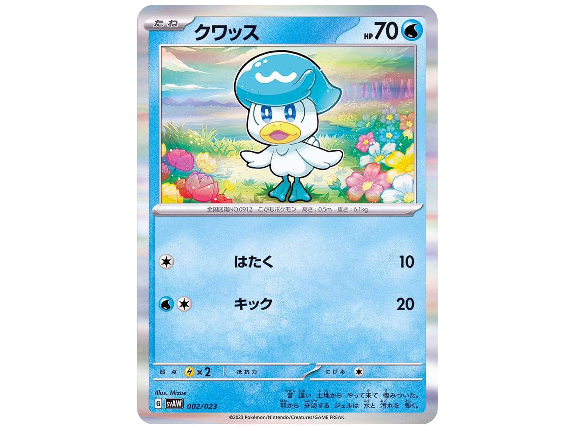 Panda Shops Single Cards