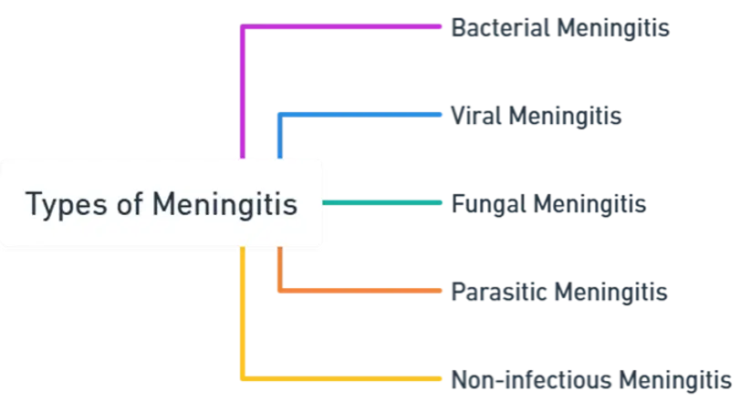 Meningitis: symptoms | types | etiology | pathogenesis &amp; treatment