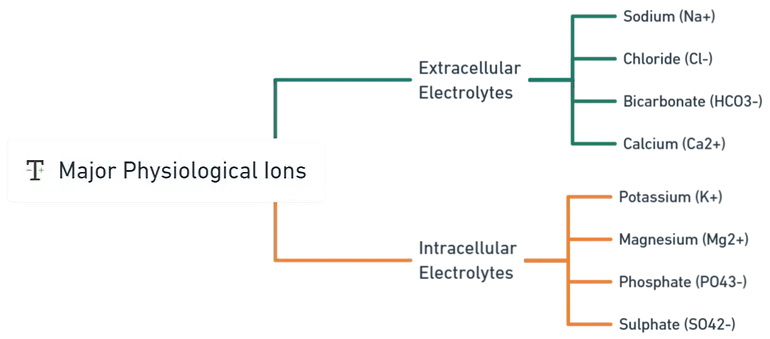 Major Physiological ions
