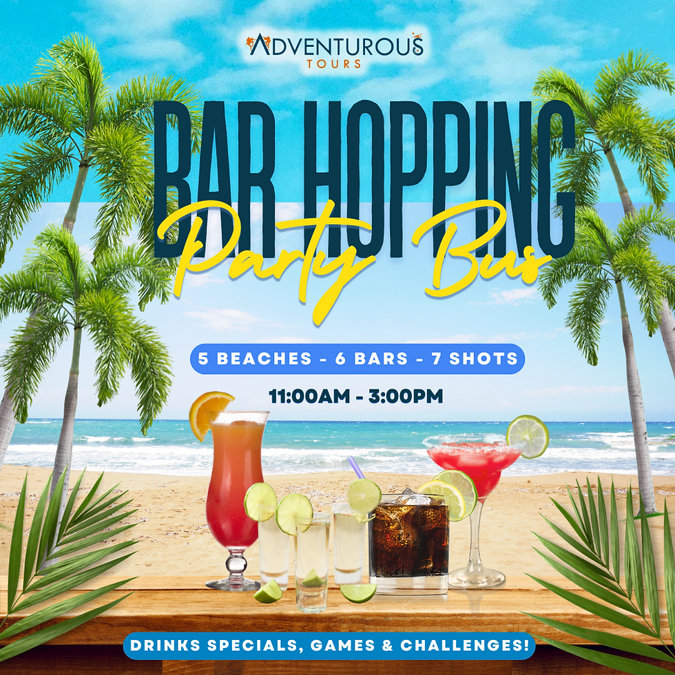 DAYTIME - PARTY BUS! BAR HOPPING