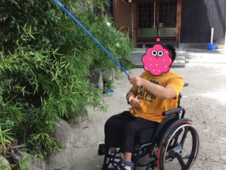 近くの神社で蝉取り