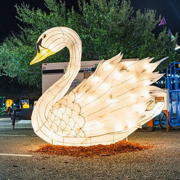 South Pole Illuminated Festival McAllen