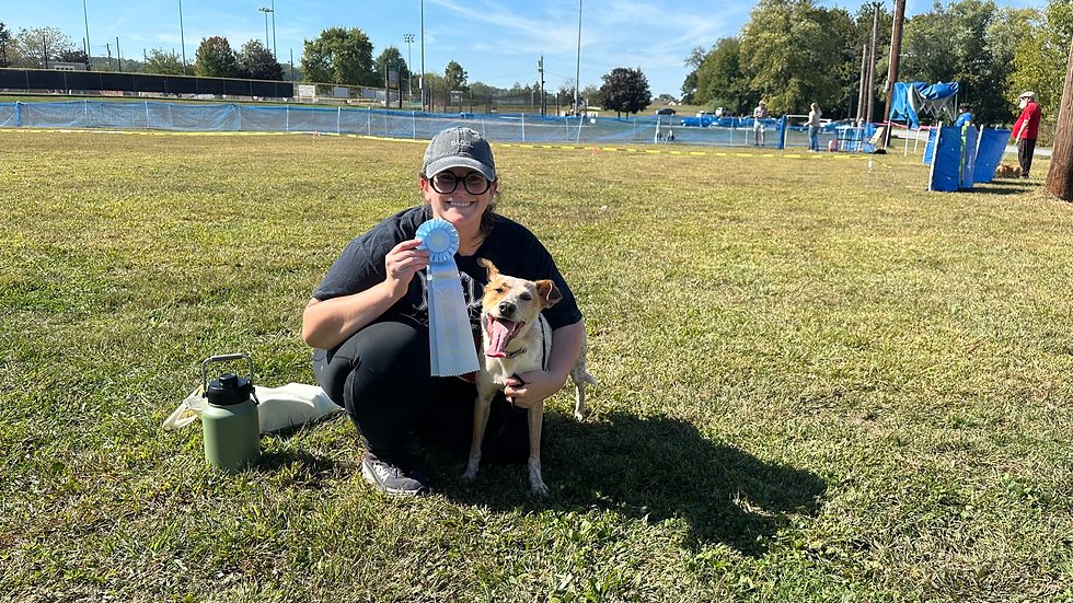 a woman in all black in a grey hat crouches down holding a powder blue rosette with her cattle dog mix who is panting very widely