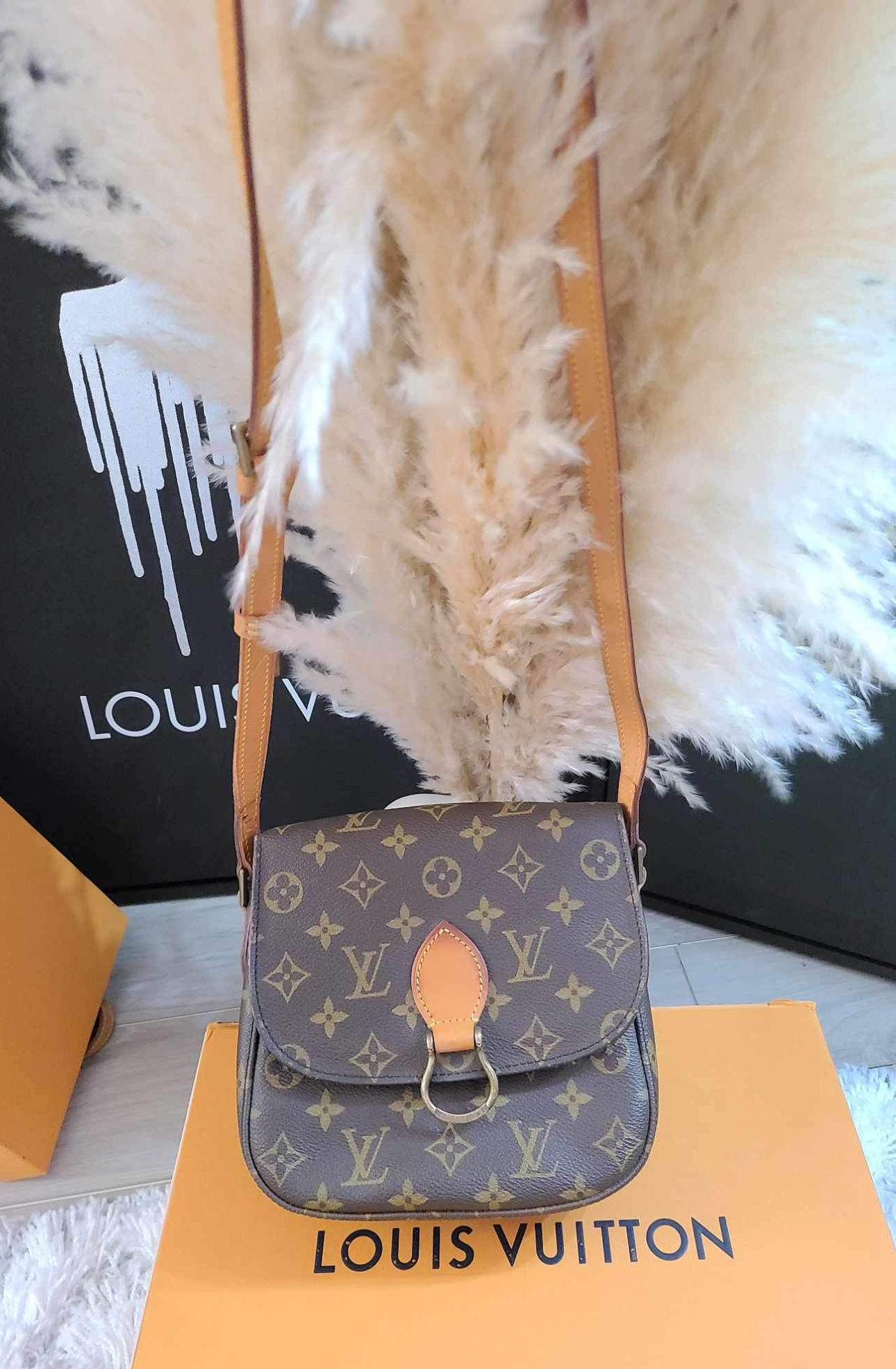 Authentic Louis Vuitton st cloud mm (pre-owned)