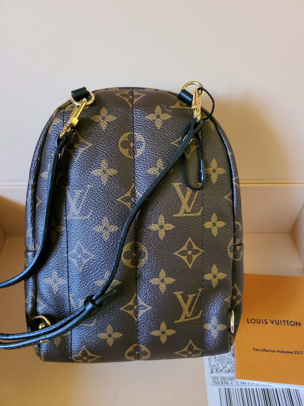 Thumbnail: Authentic Louis Vuitton Palm springs mini backpack bag (pre owned)