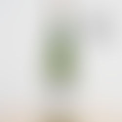 Médaille d'Argent Prix Plaisir 2025