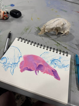 A06D1B12-E228-42F7-8A95-8B9B906DFD9D