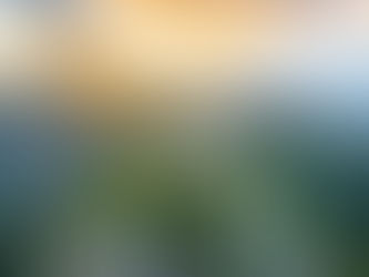 Brazil’s Rich Past and the Global Appeal of Christ the Redeemer