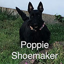 Poppie Shoemaker.jpg