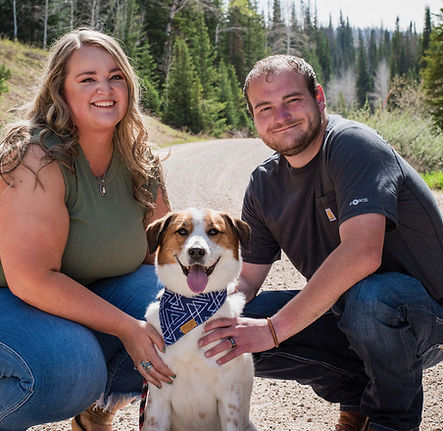 mtn green animal hospital employee