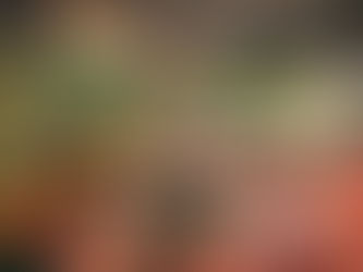 暮らすように滞在する エンガディン
チェレリーナ/Cerelina