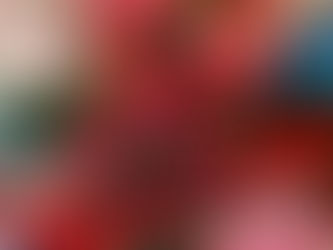 12日の日曜日、母の日営業いたします