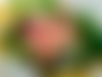 オレンジ系のバラを用いたお誕生日のブーケ