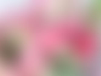 送別・卒業式の花束