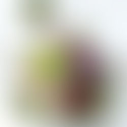 年末年始の営業日のお知らせ